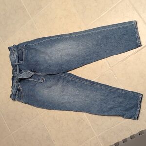 Joe's Jeans The Brinkley - High Rise Paperbag Jean